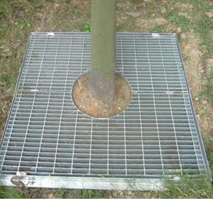 钢格板树池盖板(图1)